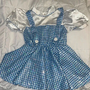 Dorothy Costume from Wizard of Oz - Size Small